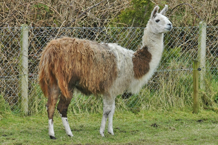 Hop into Easter Fun in the Ring of Cork! - Ring of Cork