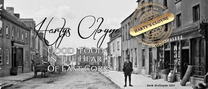 www.ringofcork.ie | Ring of Cork | Hartys Cloyne