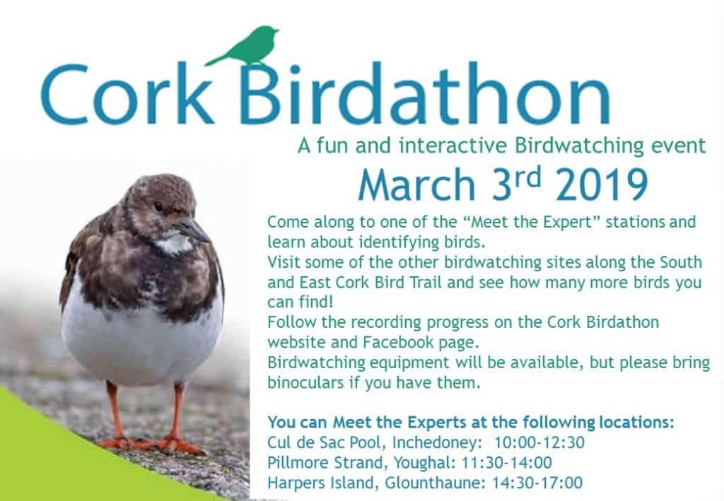 www.ringofcork.ie | Ring of Cork | Cork Birdathon 2019