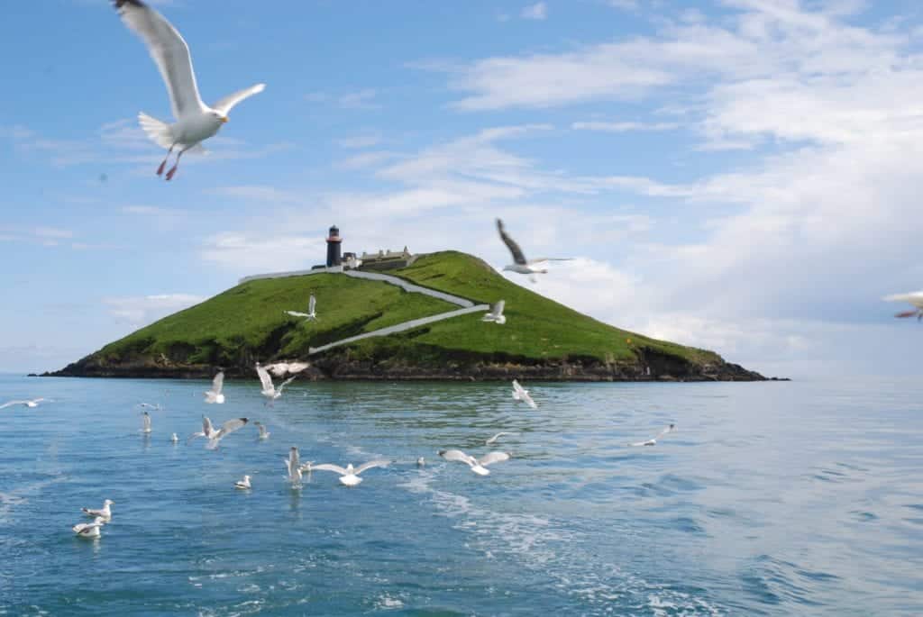 27 Amazing Activities for your Staycation in the Ring of Cork - Ring of Cork
