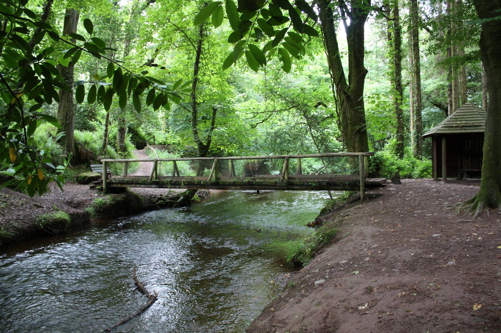 Glenbower Woods | www.ringofcork.ie | Ring of Cork